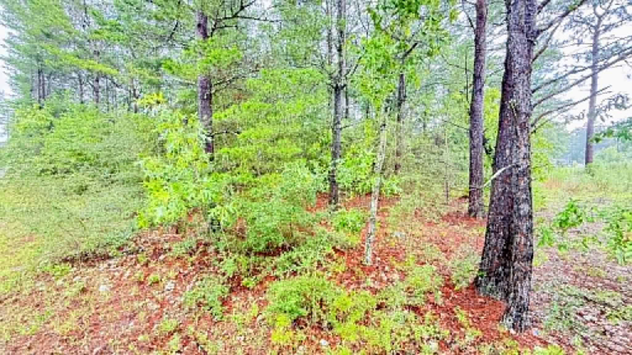 00 E Primrose East Avenue, DeFuniak Springs