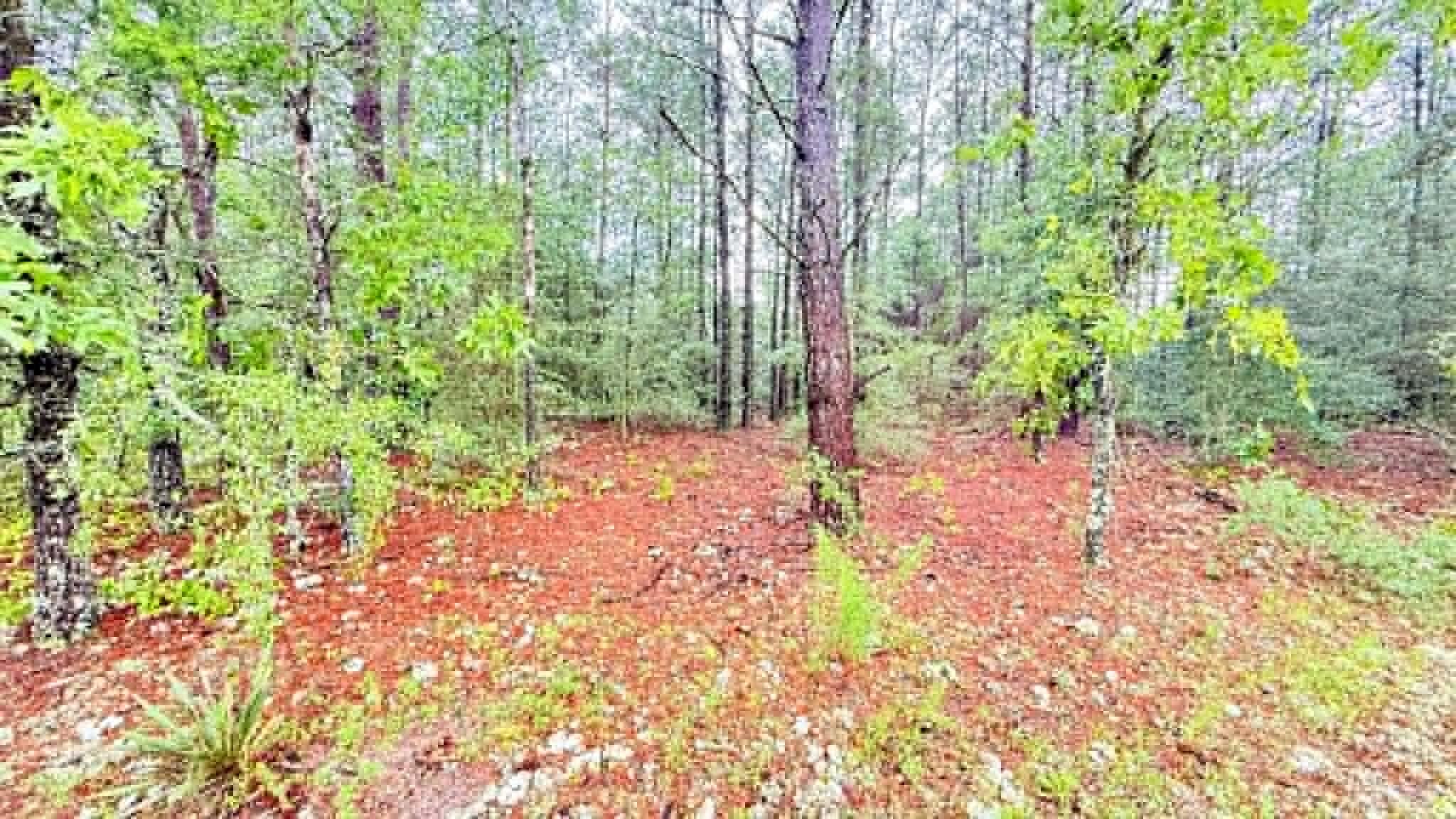 00 E Primrose East Avenue, DeFuniak Springs