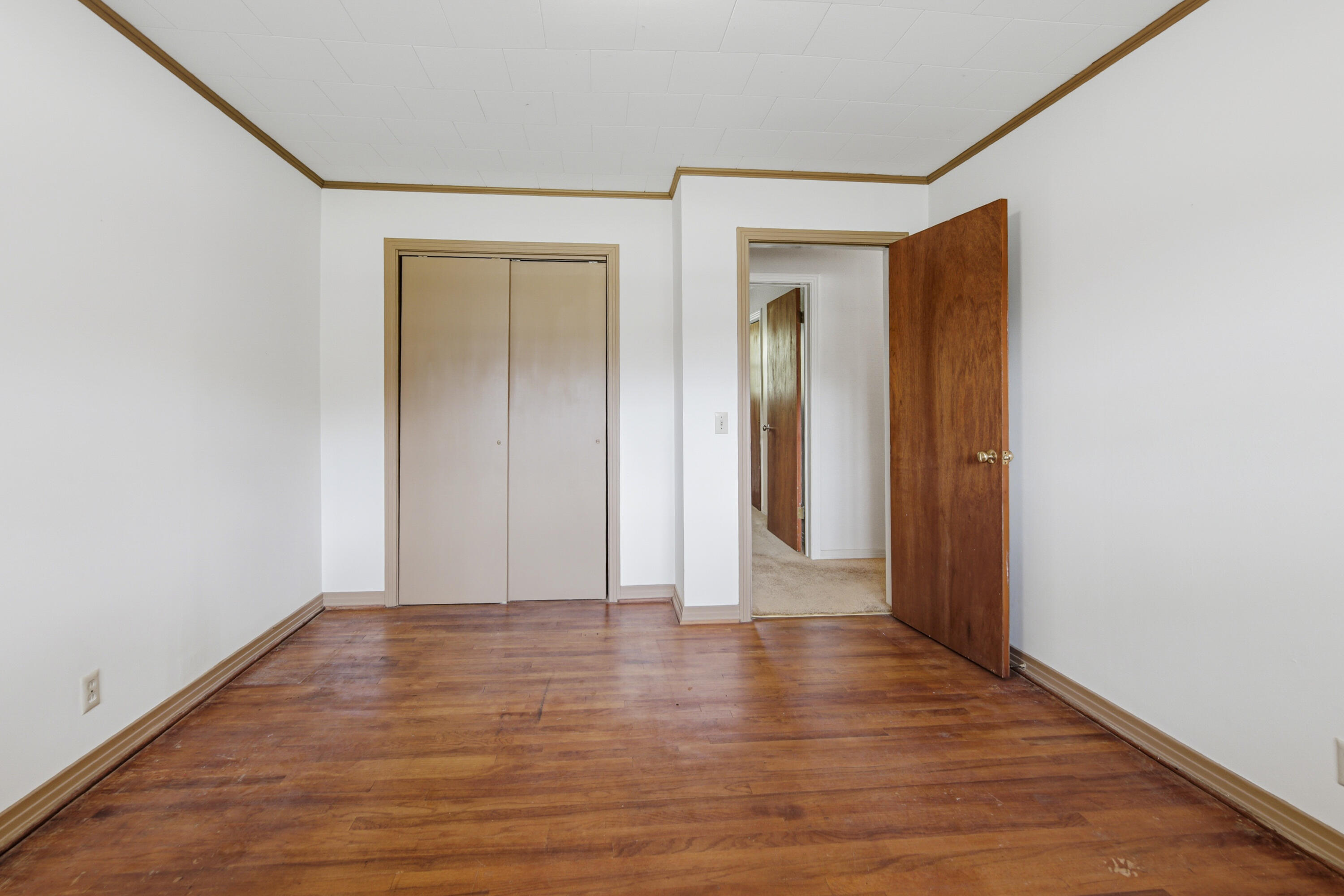 1009 Dogwood Drive