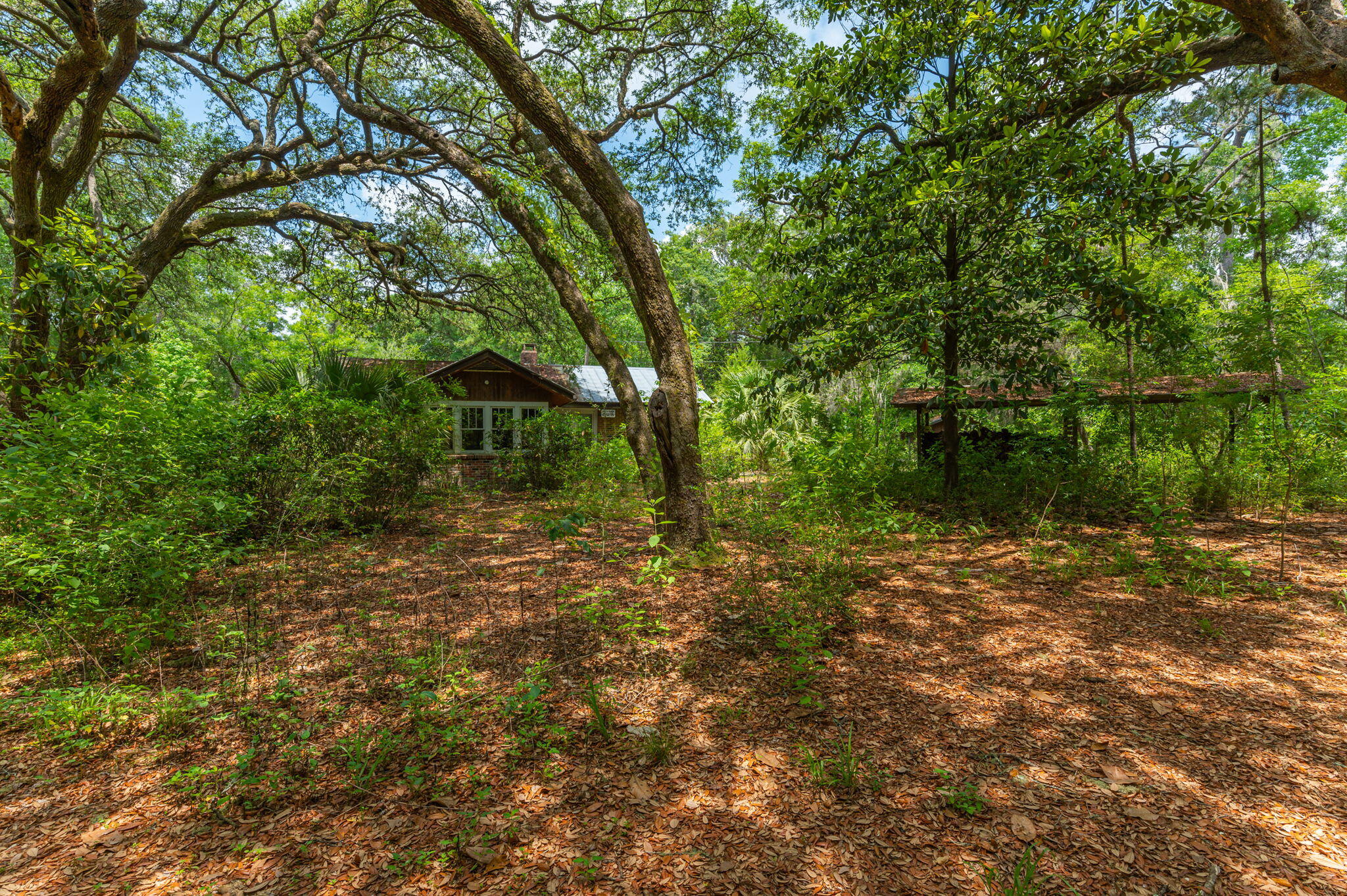 Small house and open-sided covered structure nestled among mature trees and dense greenery.