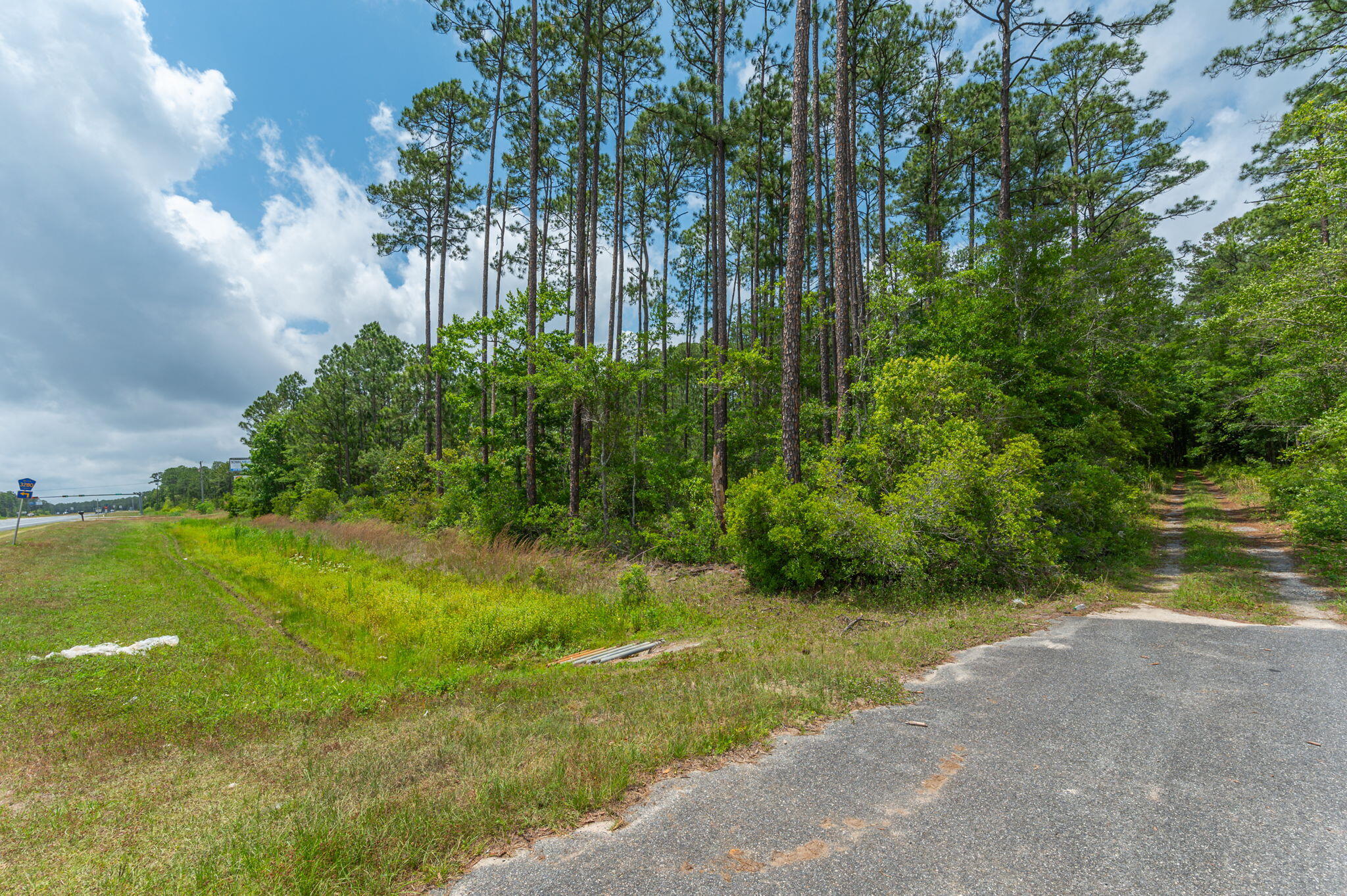 Wooded property beside a highway, with a paved driveway and dirt track leading into tall pines.