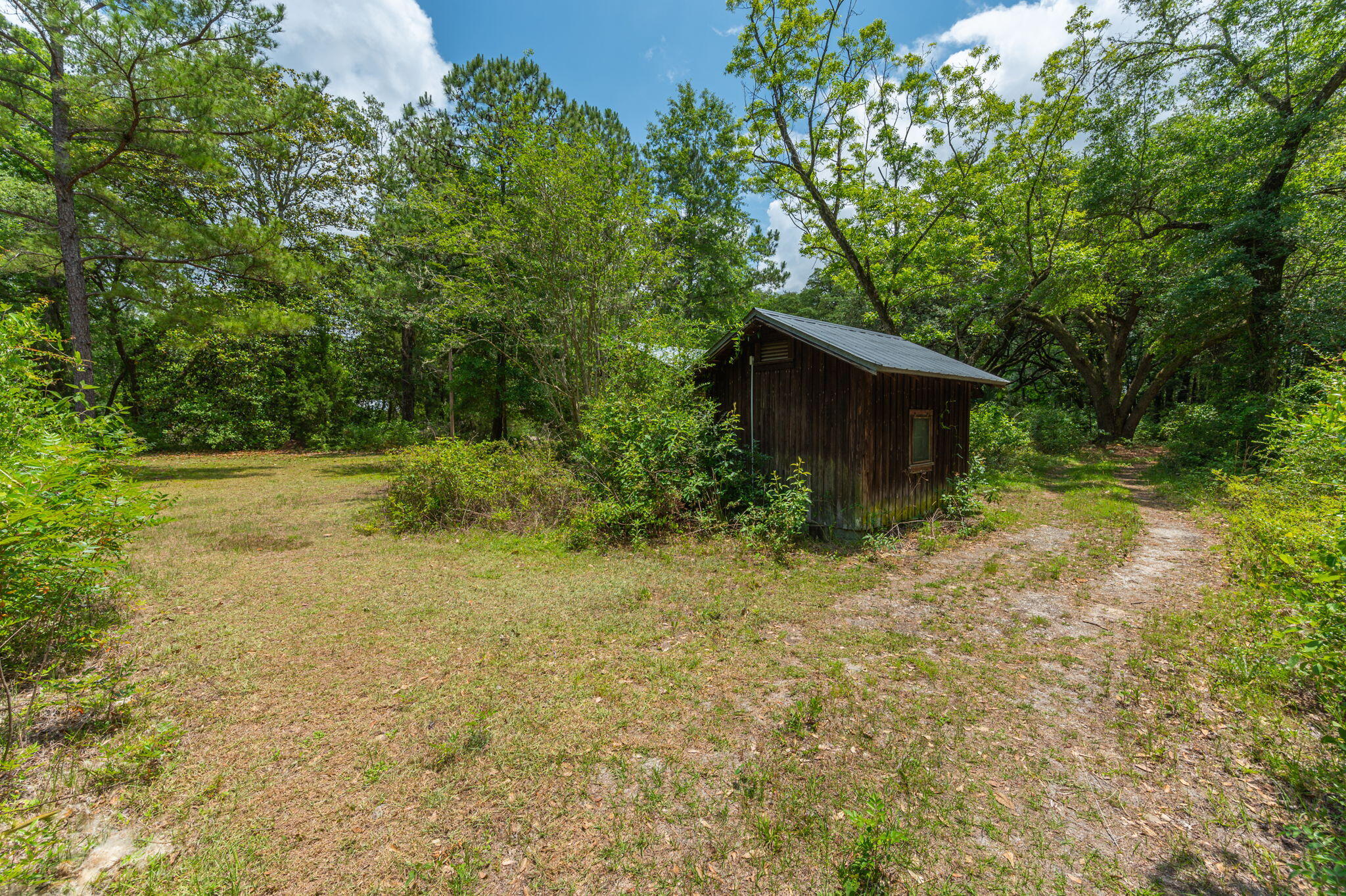 Wooden shed in a sunny clearing surrounded by dense trees, with a gravel track beside it.