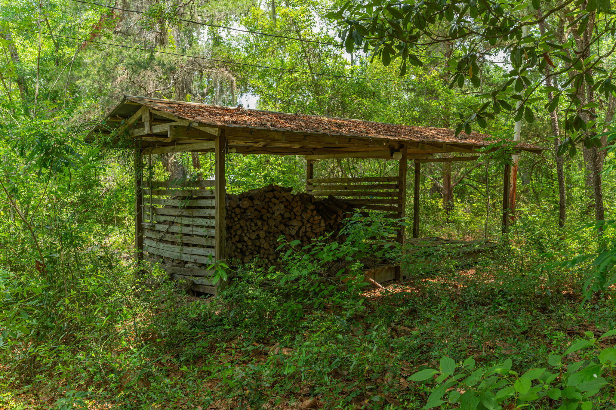 Open-sided wooden firewood shelter with a leaf-covered roof in a dense wooded area.