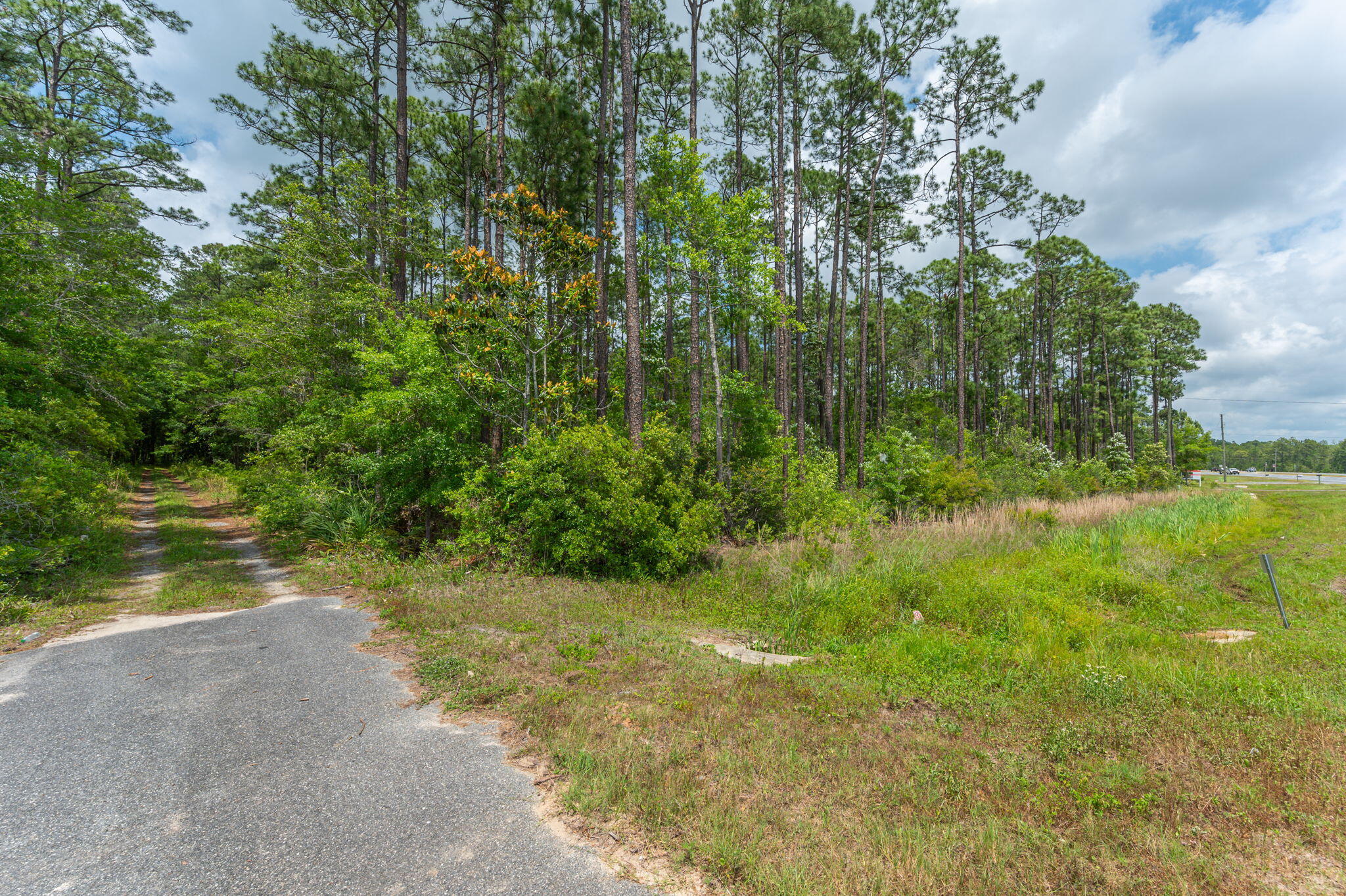 Wooded vacant land with a paved access drive and grassy roadside frontage.