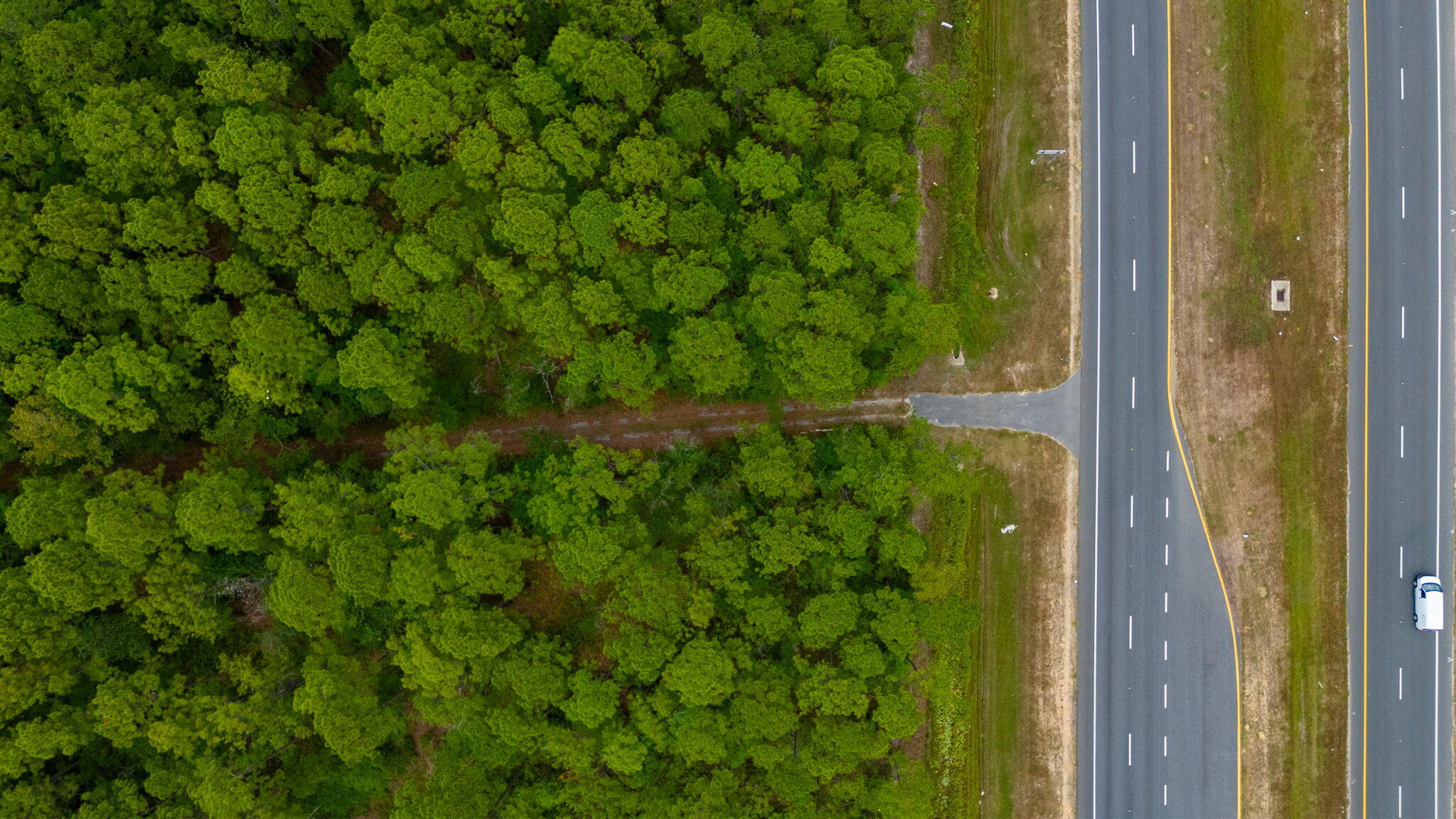 Wooded property with an access road meeting a divided highway.