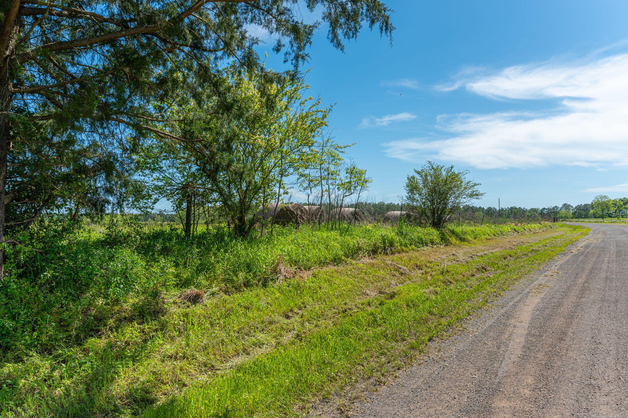 0000 Adams Drive, DeFuniak Springs