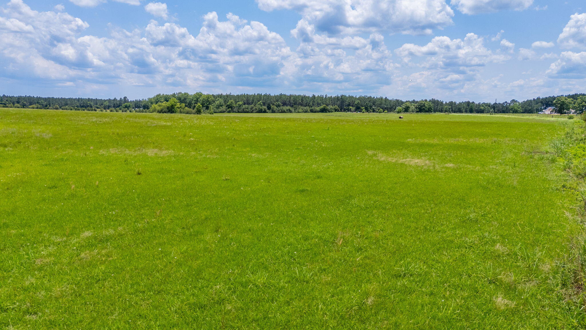 0000 Adams Drive, DeFuniak Springs