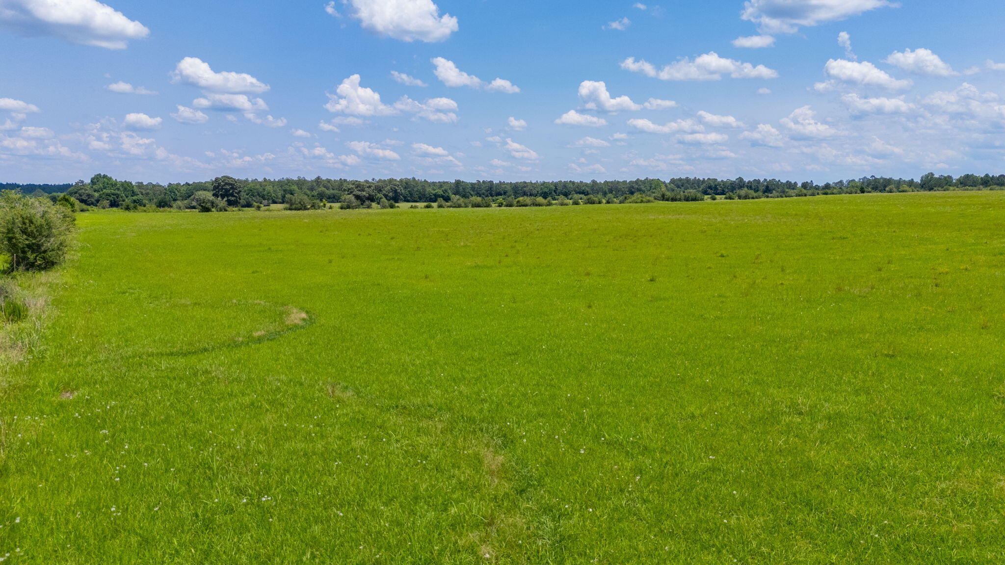 0000 Adams Drive, DeFuniak Springs