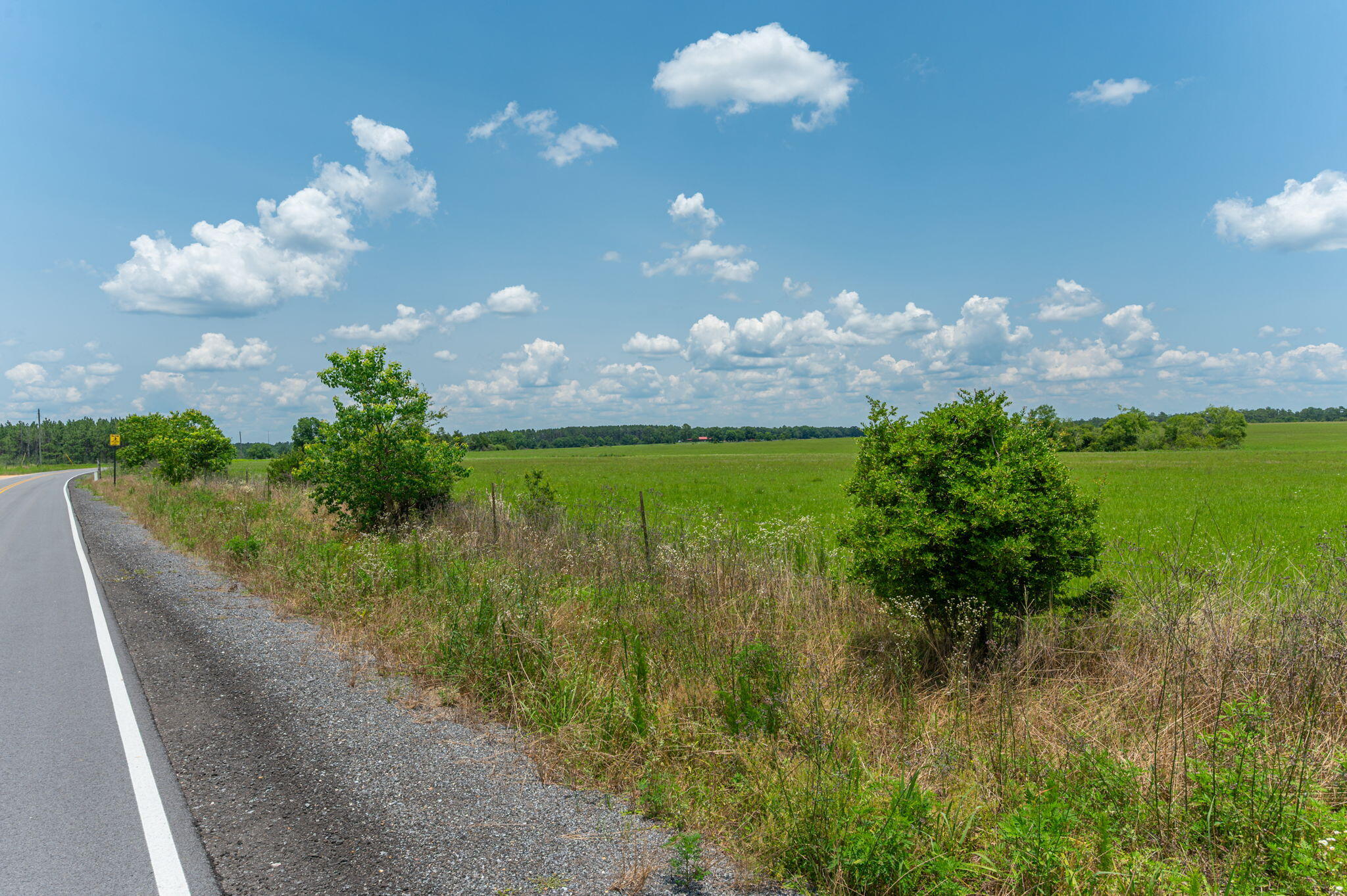 0000 Adams Drive, DeFuniak Springs