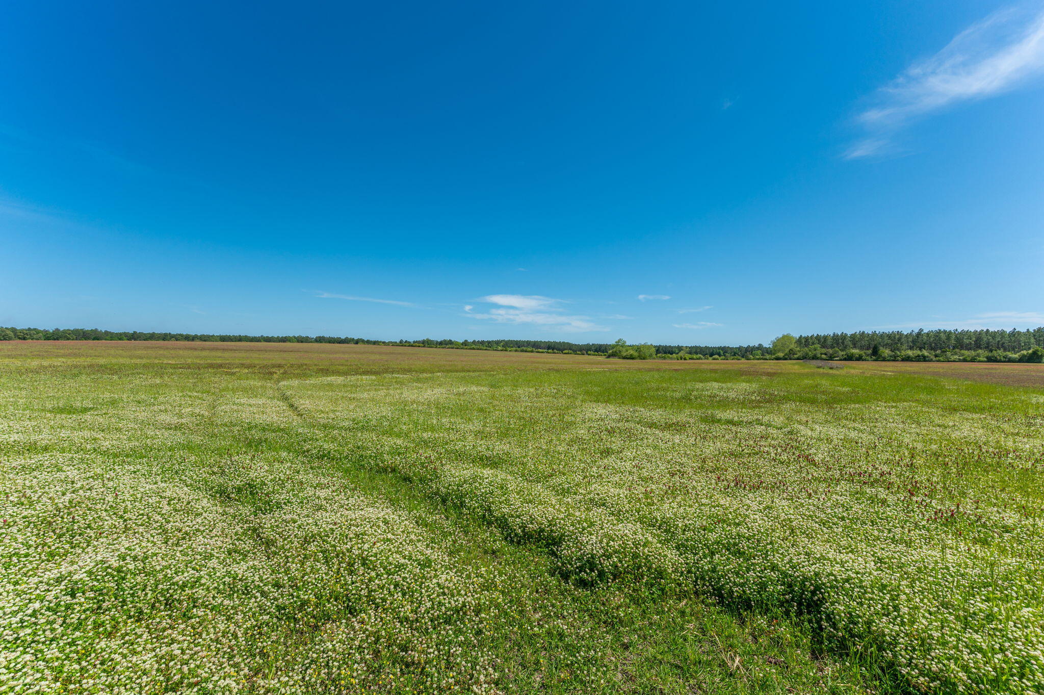 0000 Adams Drive, DeFuniak Springs