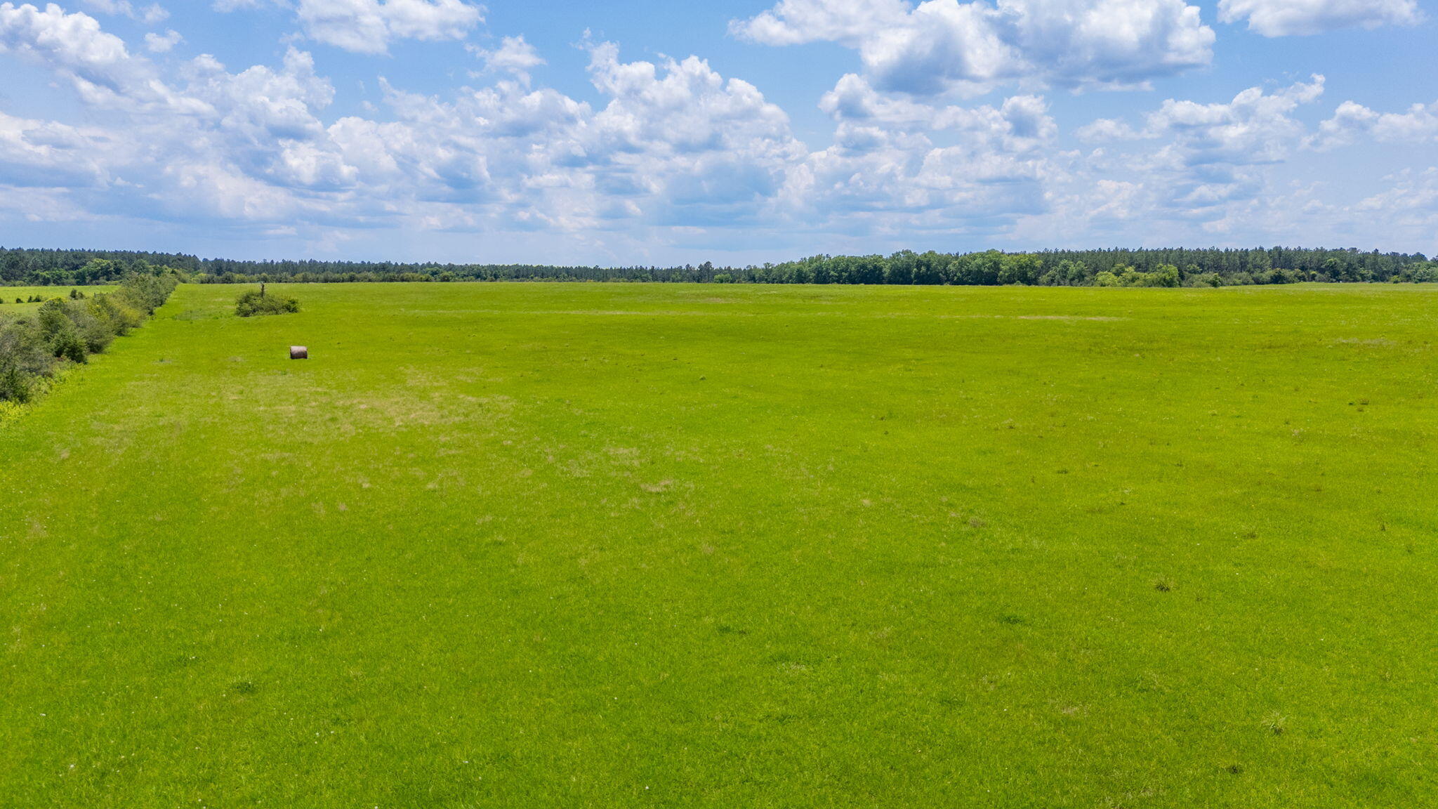 0000 Adams Drive, DeFuniak Springs