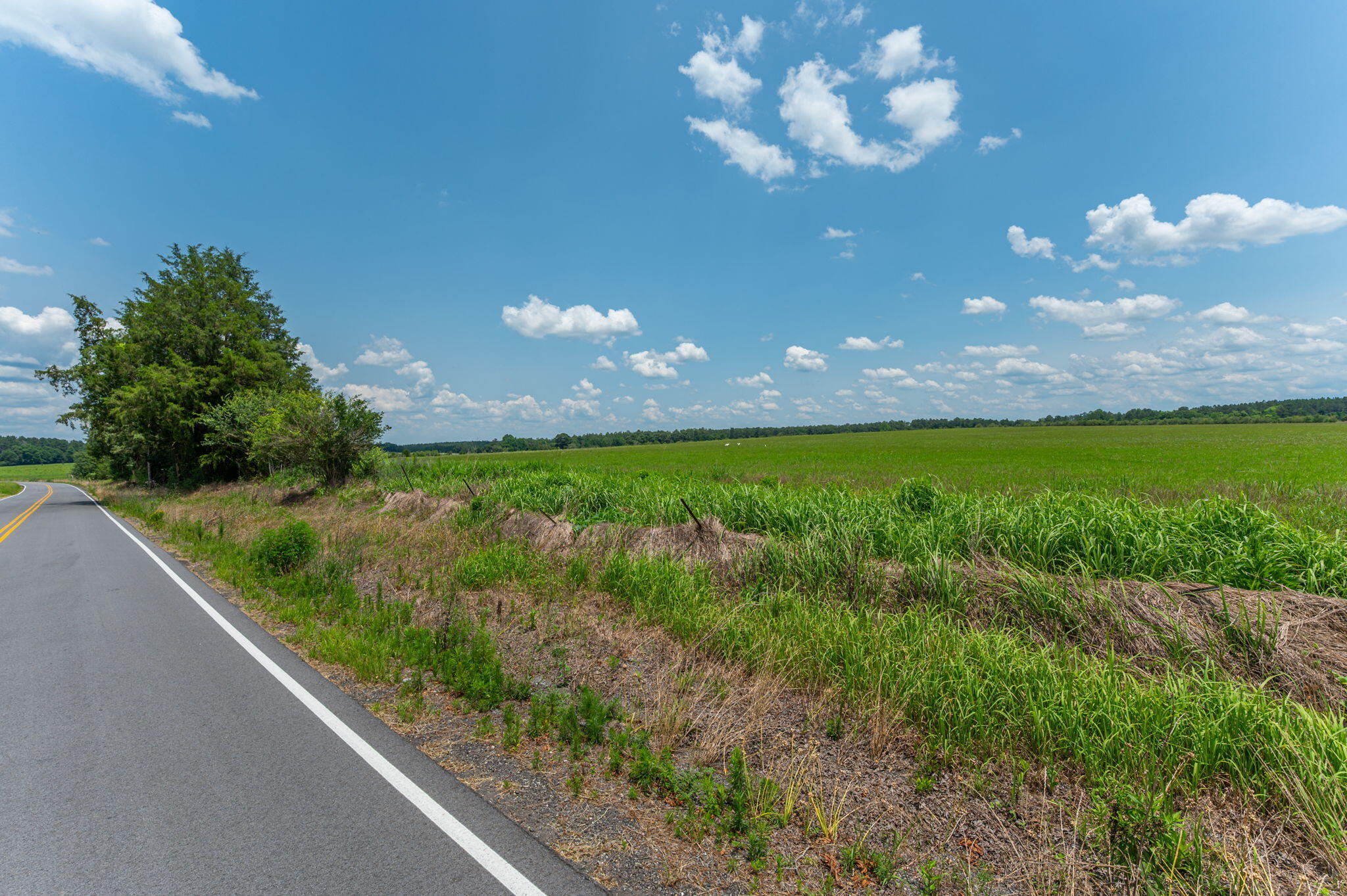 0000 Adams Drive, DeFuniak Springs