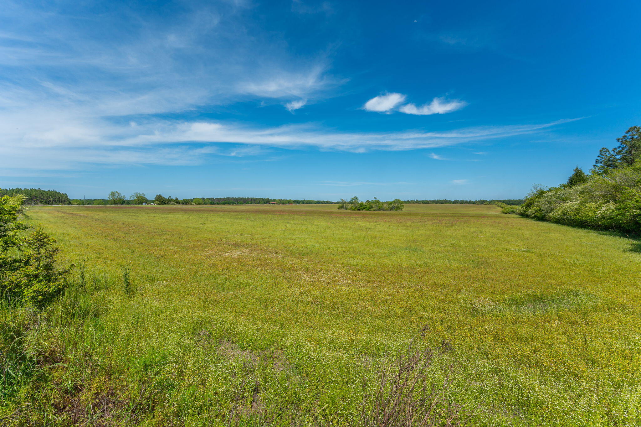 0000 Adams Drive, DeFuniak Springs