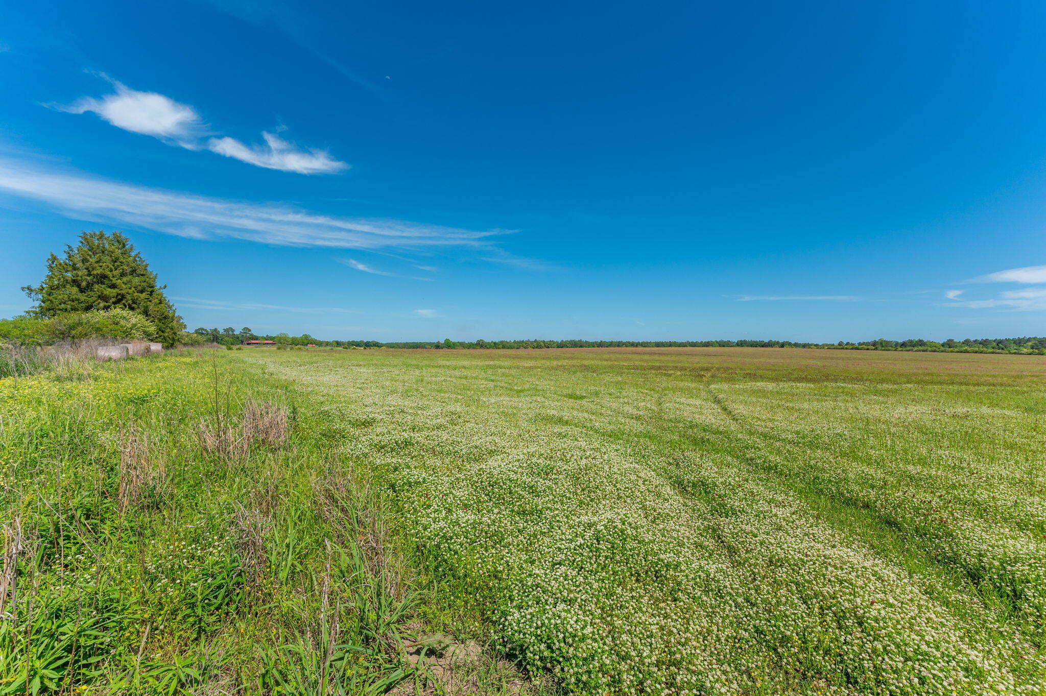 0000 Adams Drive, DeFuniak Springs