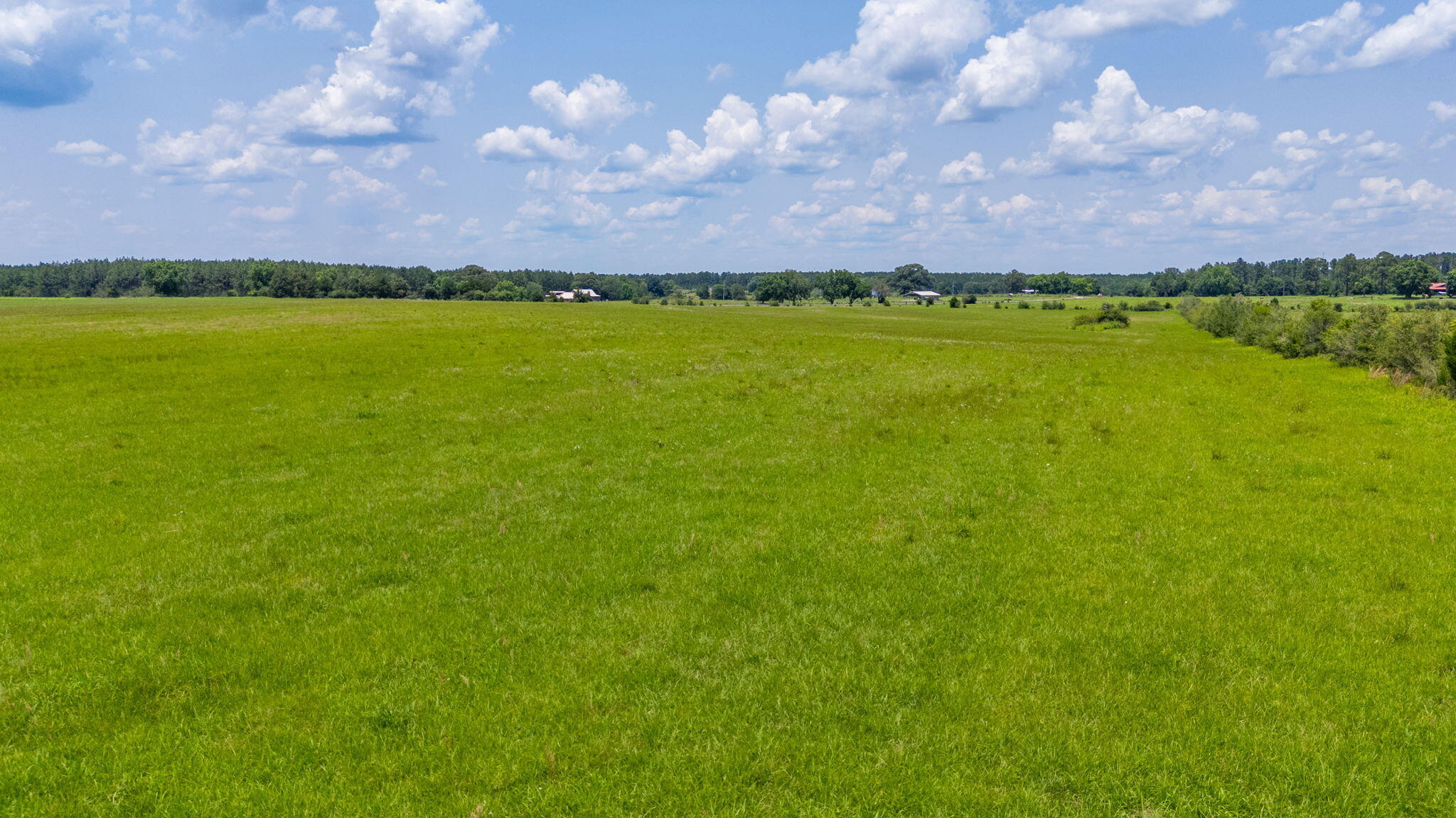 0000 Adams Drive, DeFuniak Springs