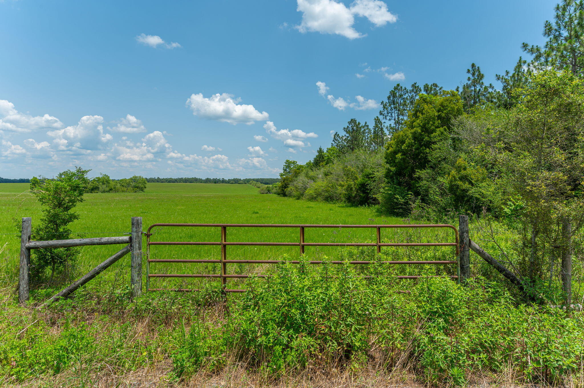 0000 Adams Drive, DeFuniak Springs