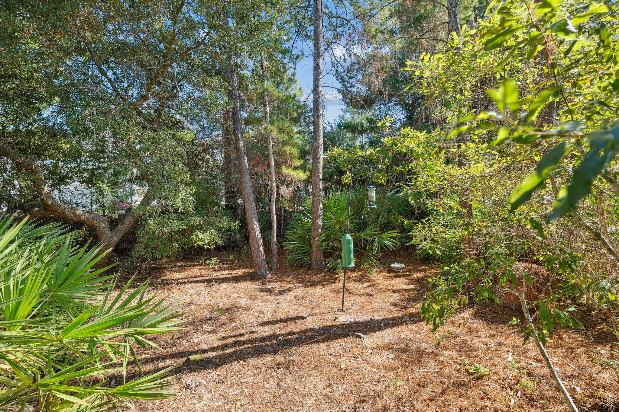 255 Emerald Beach Circle