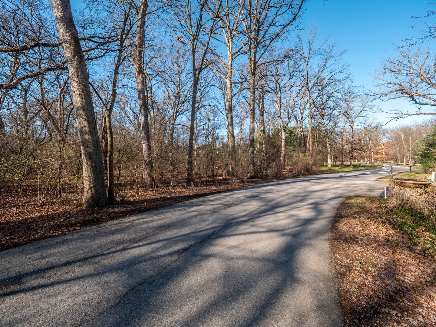 29W131 Forest Lane
