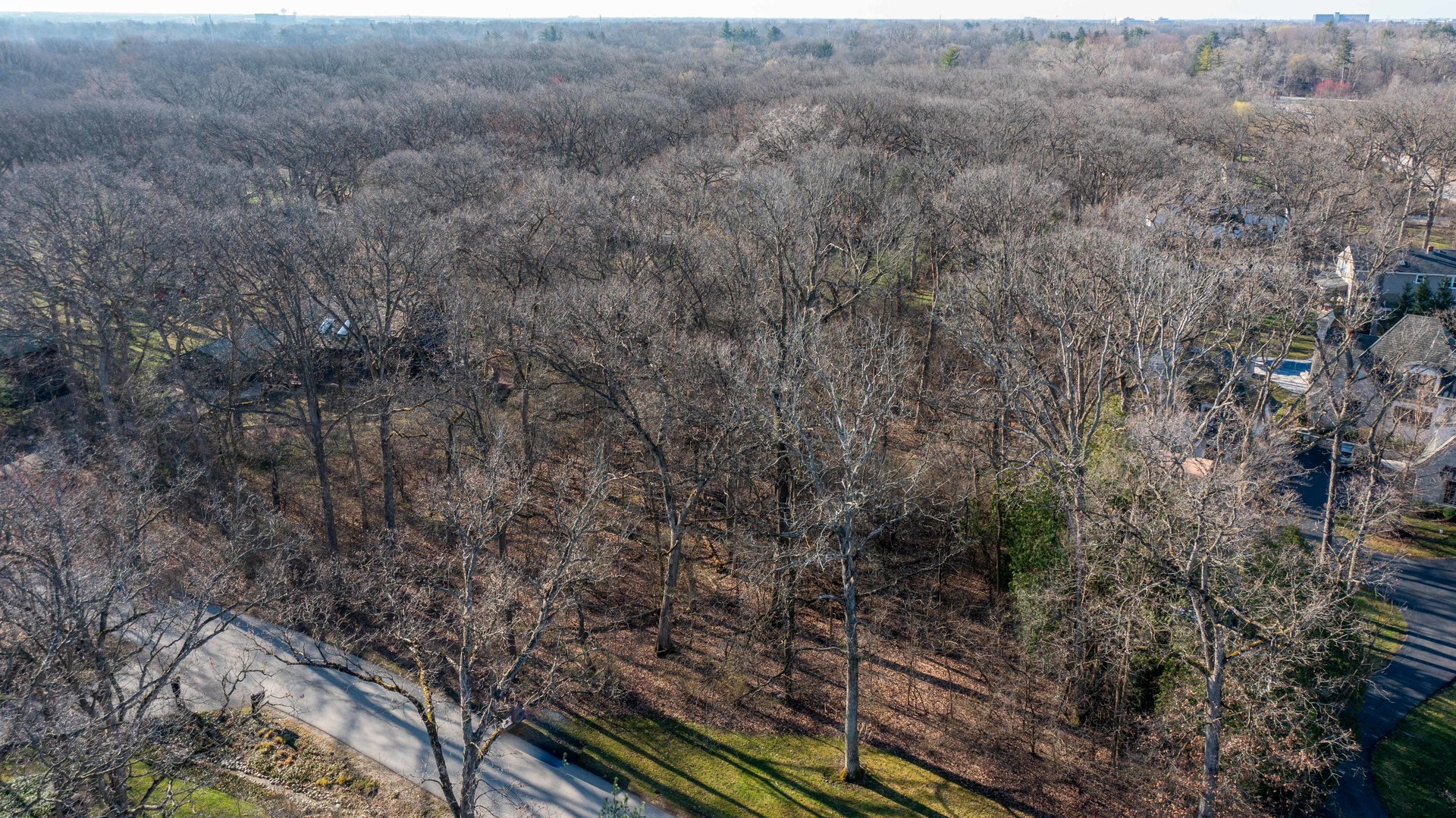 29W131 Forest Lane
