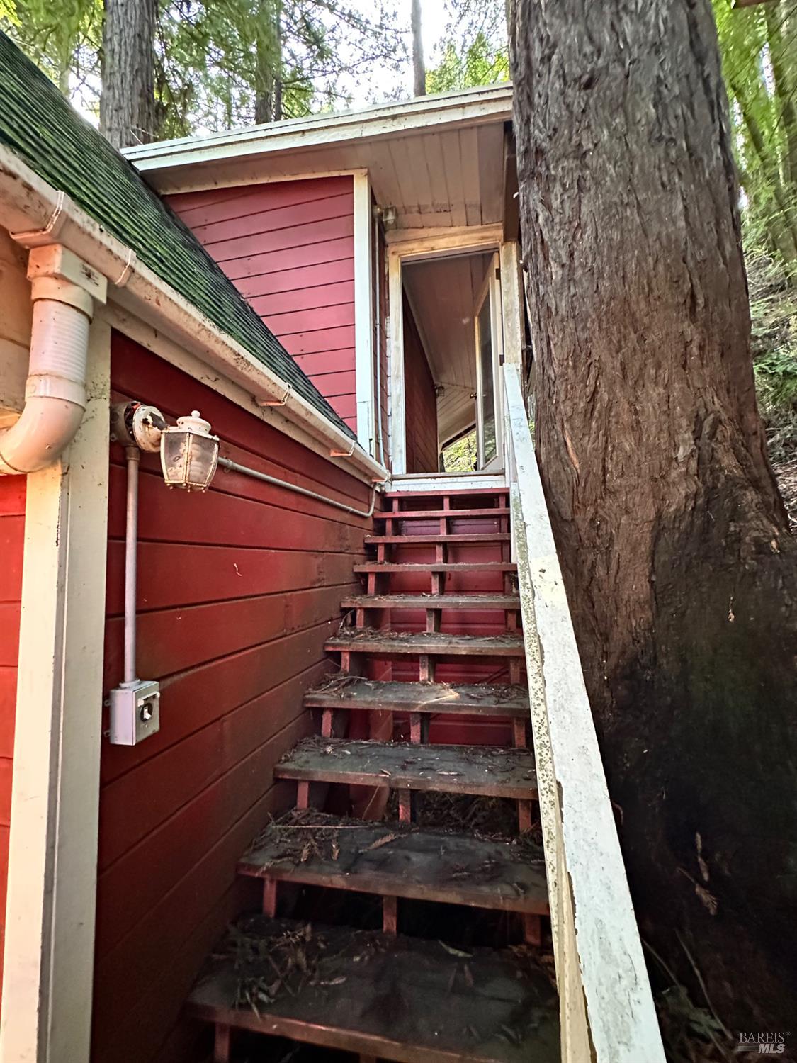 805 Cazadero Highway