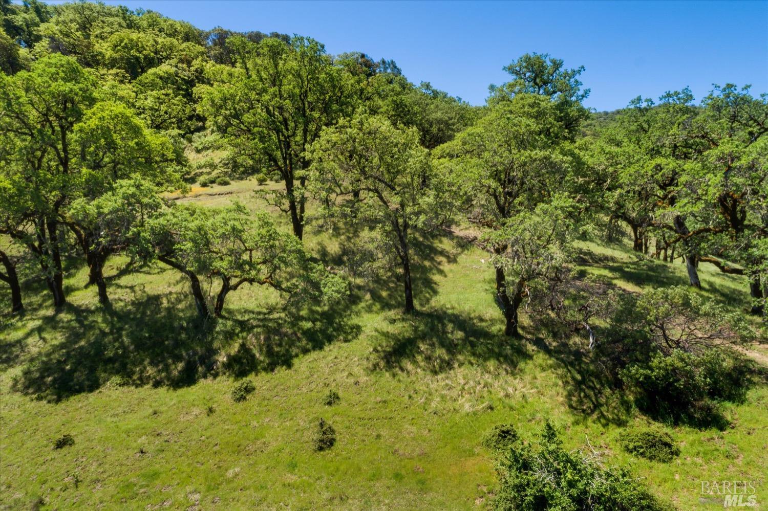6870 County Road 110