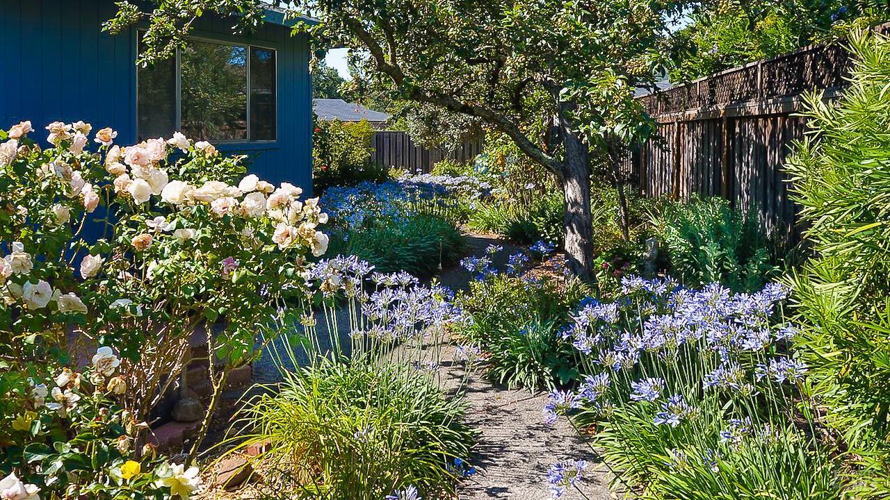 8817 Hood Mountain Circle