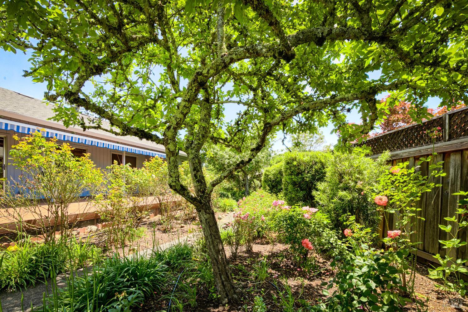 8817 Hood Mountain Circle
