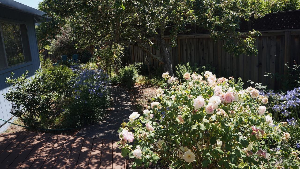 8817 Hood Mountain Circle