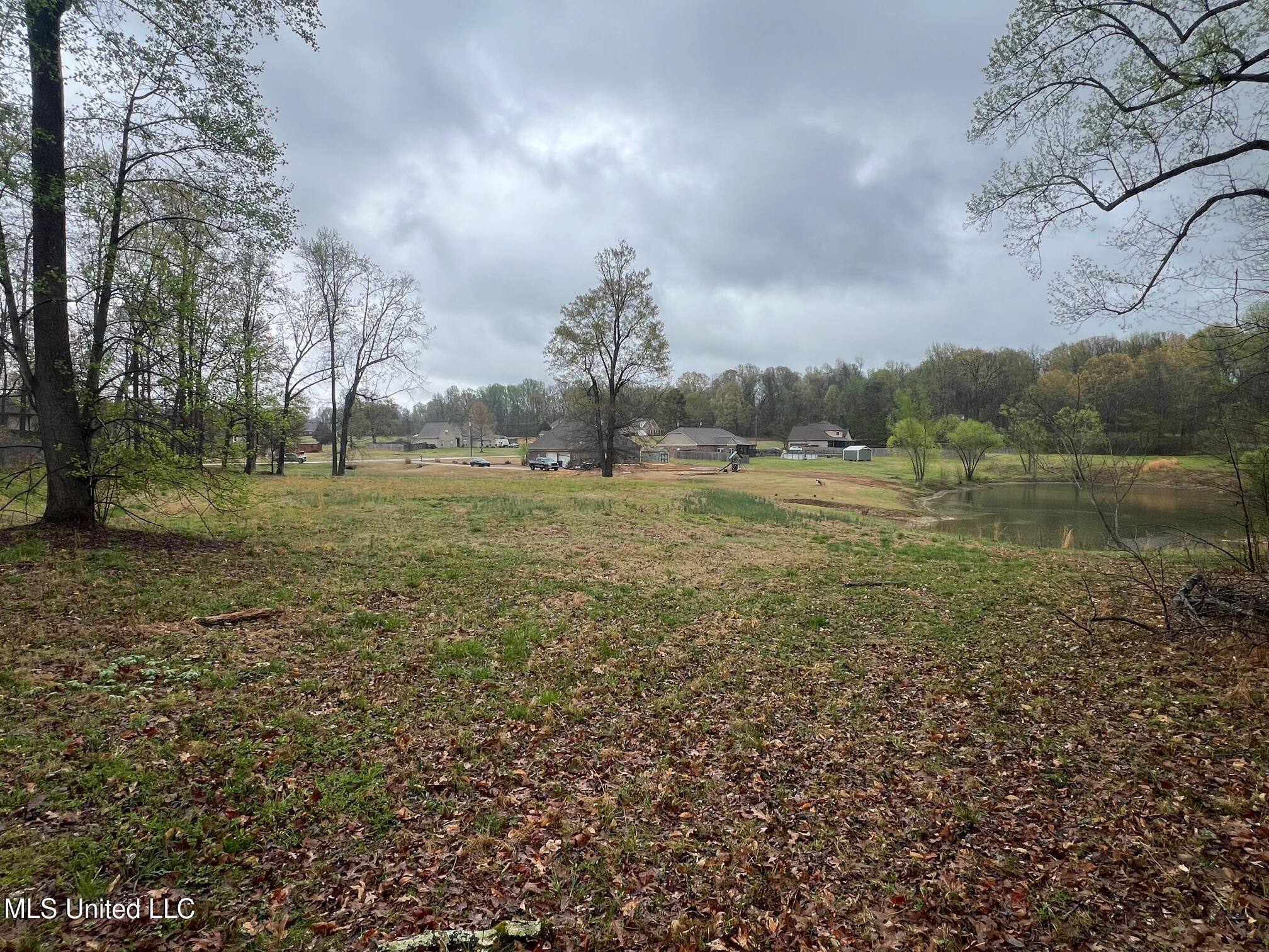 10117 Emerald Forest Dr