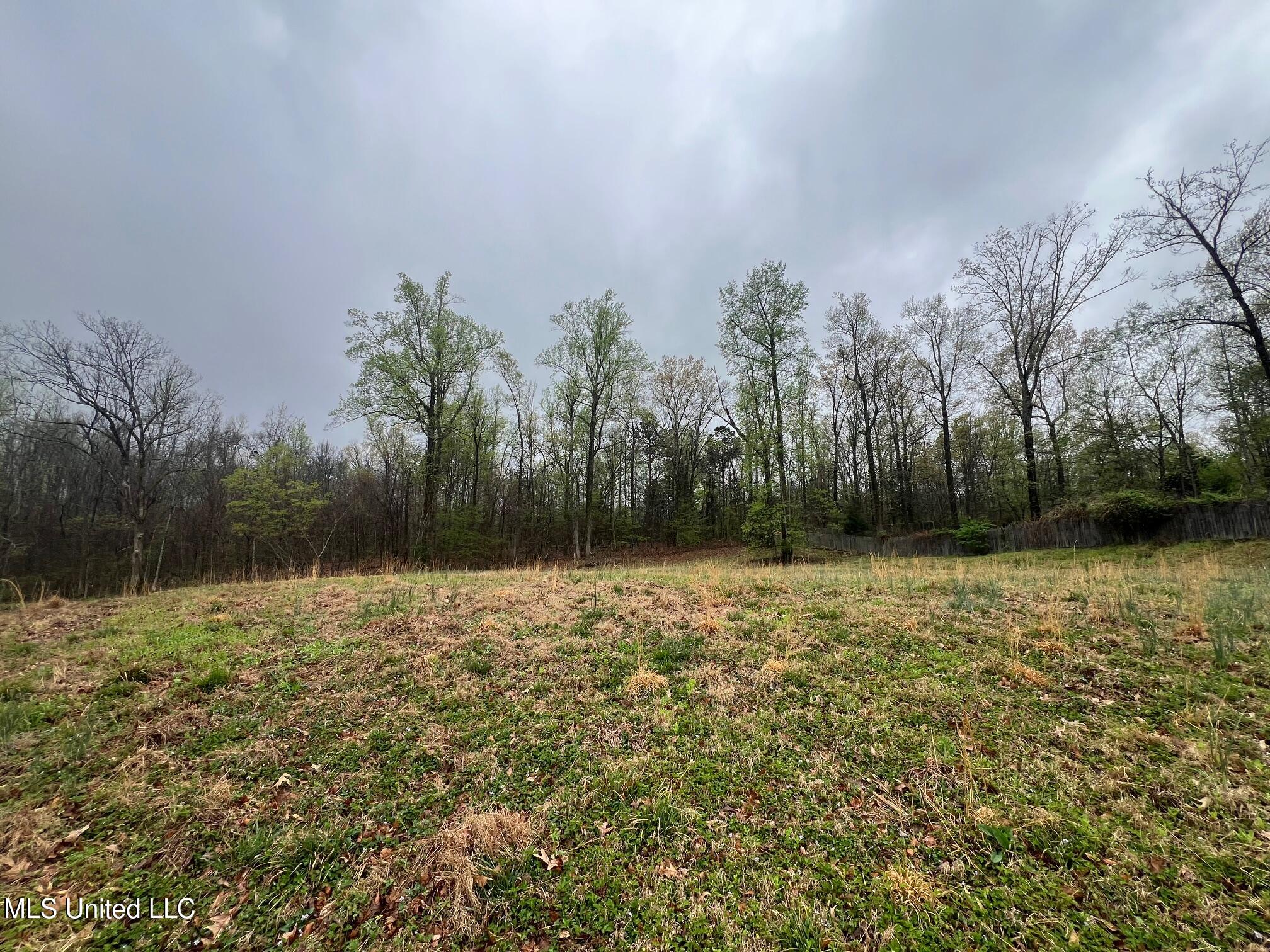 10117 Emerald Forest Dr