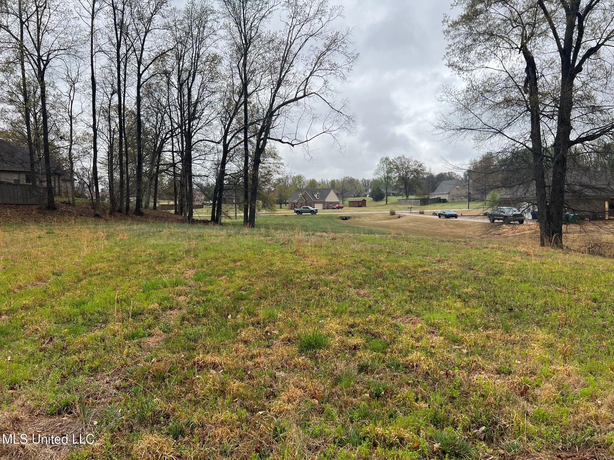 10117 Emerald Forest Dr