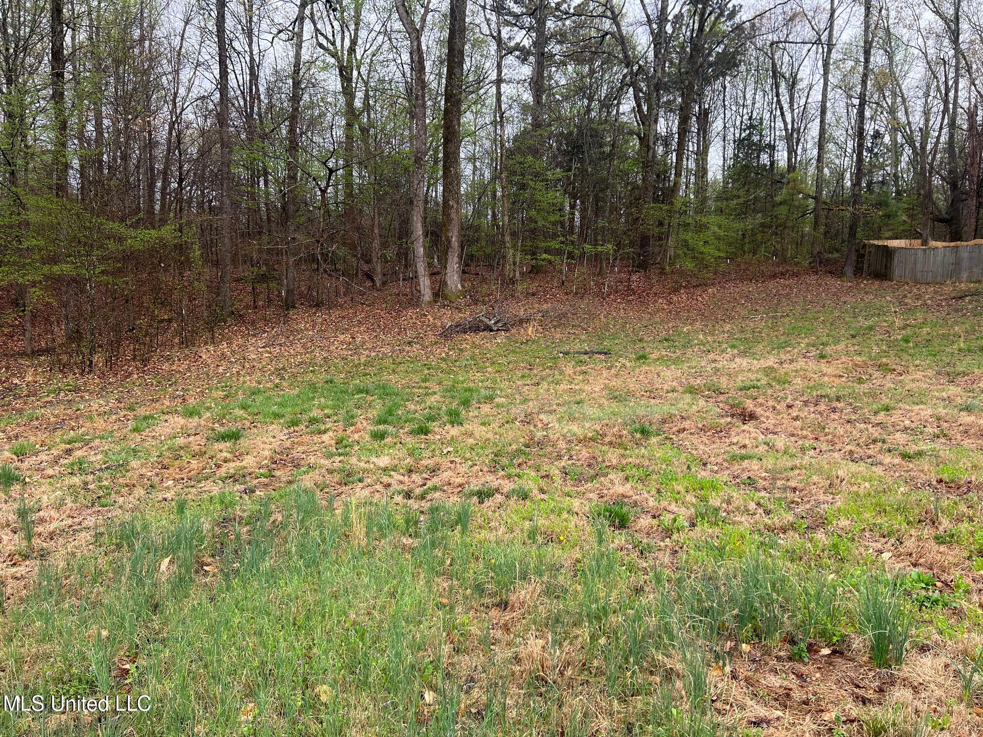 10117 Emerald Forest Dr