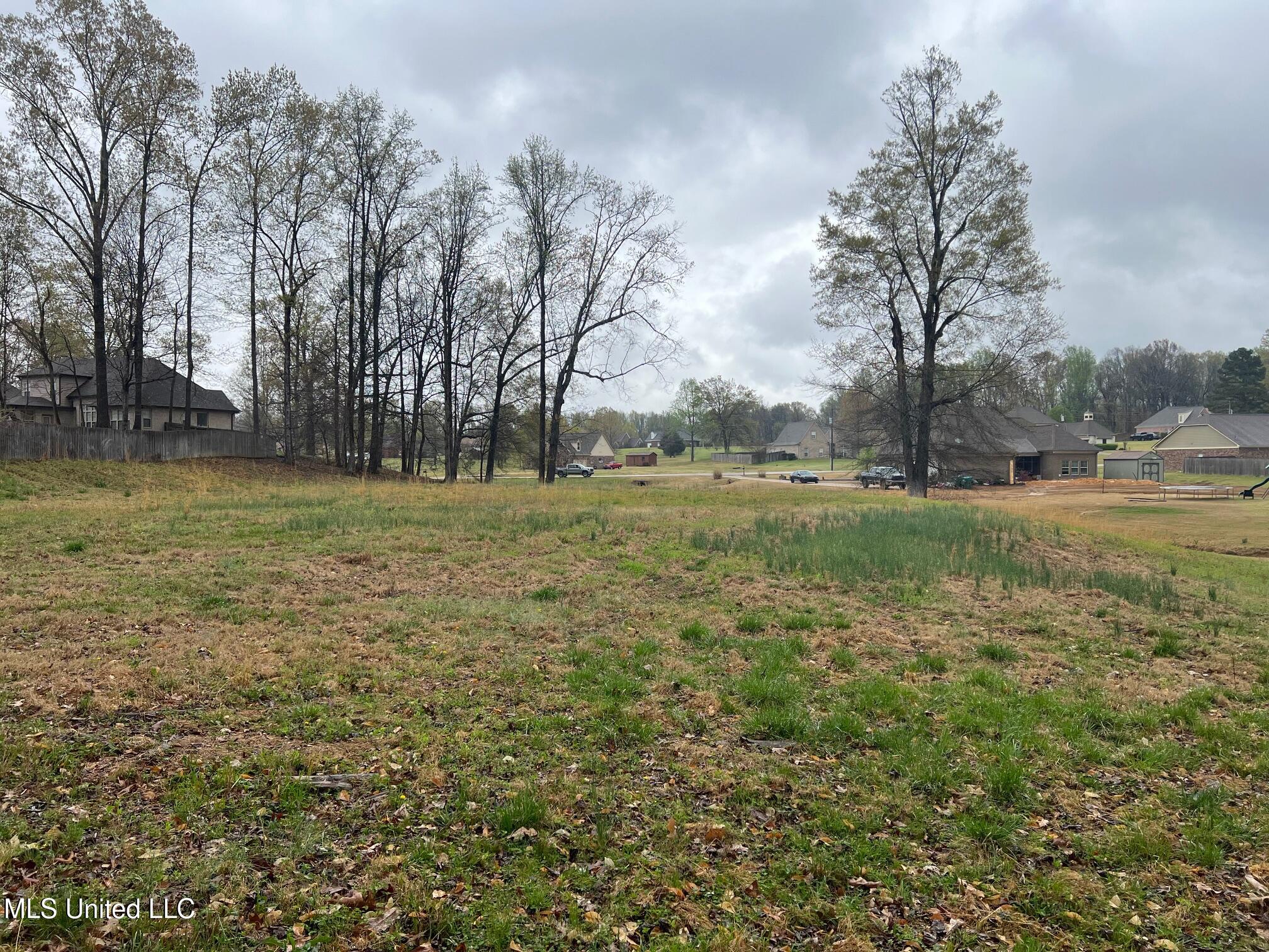 10117 Emerald Forest Dr