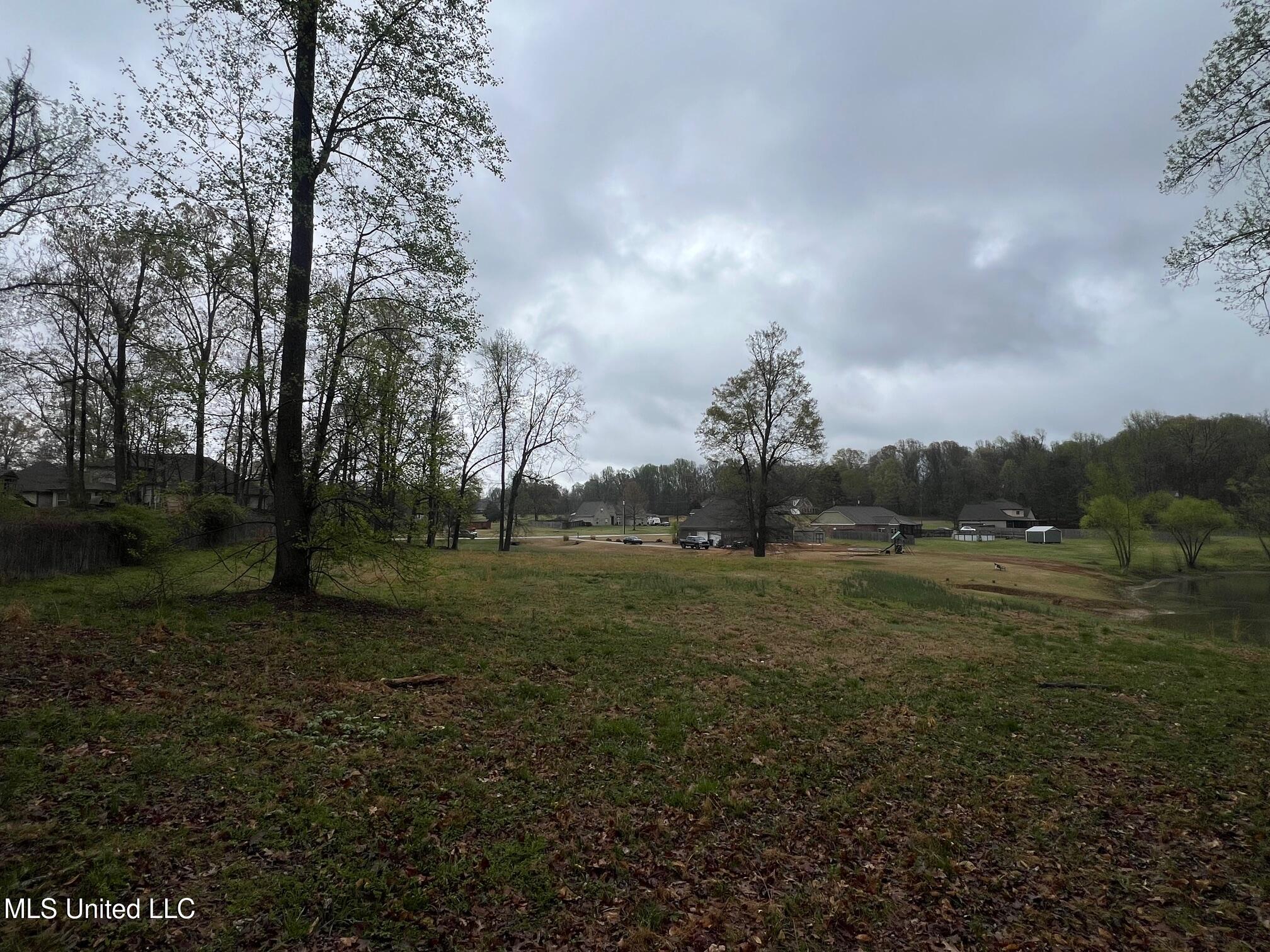 10117 Emerald Forest Dr