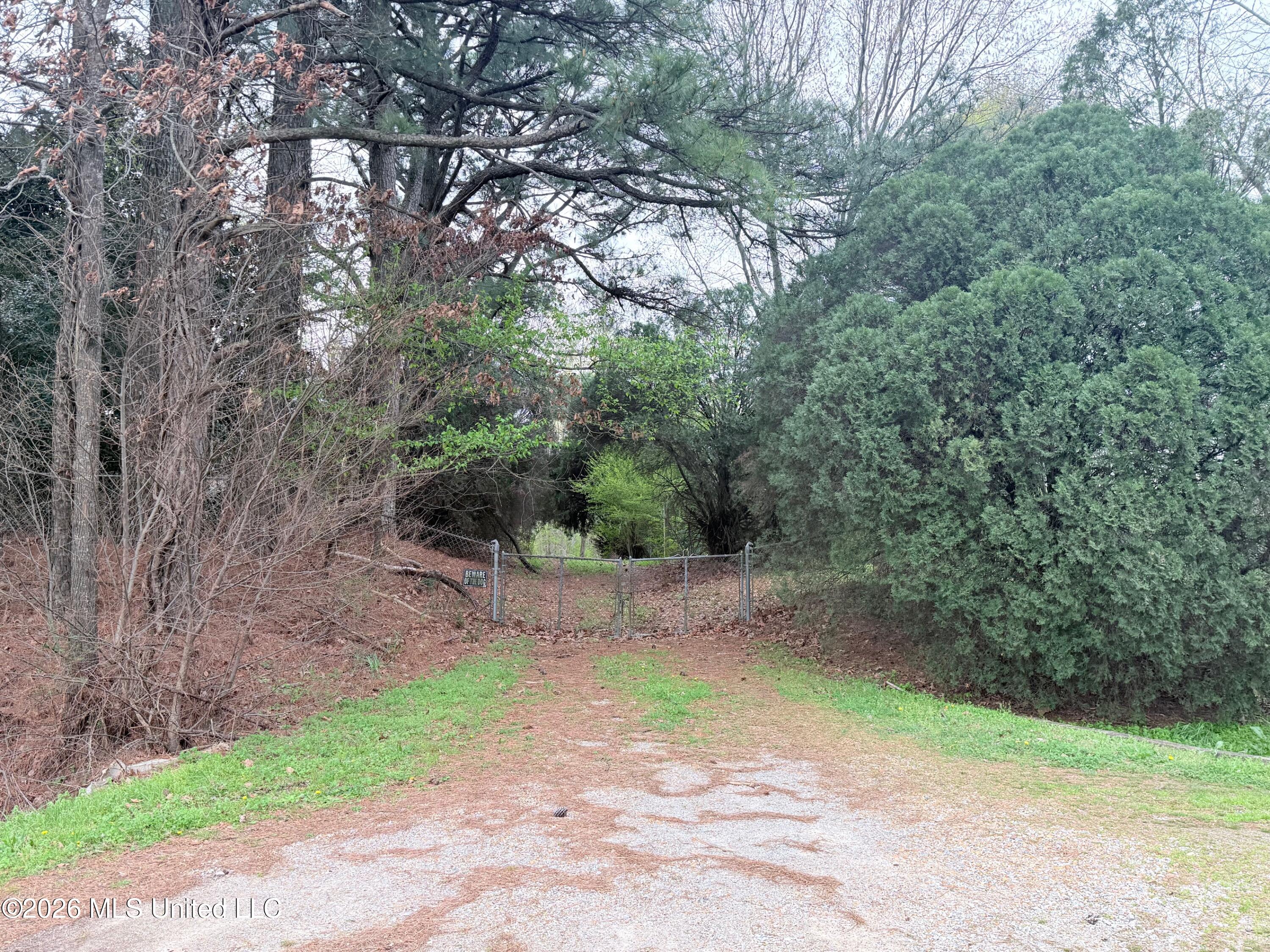 2943 Plum Point Road