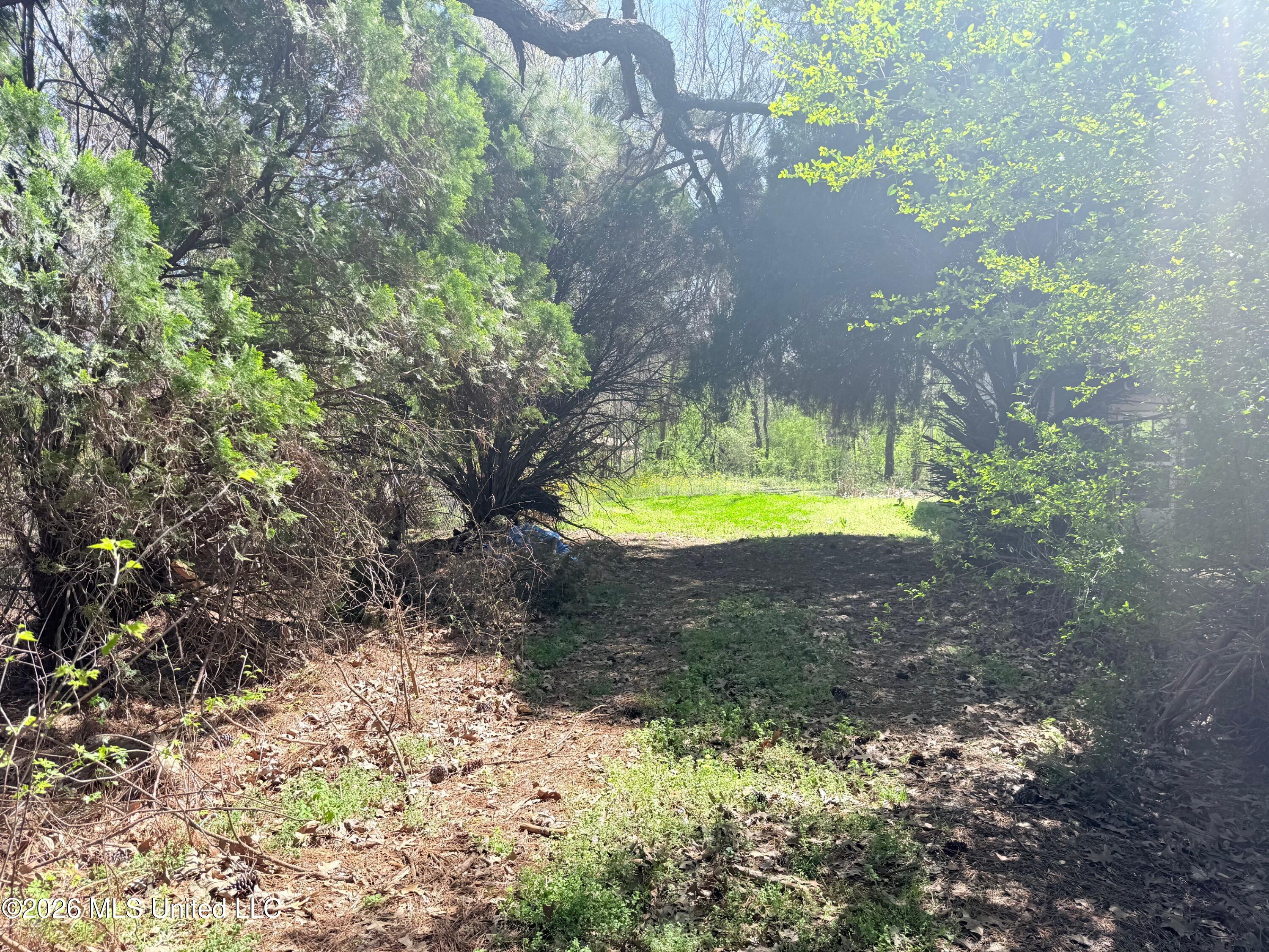 2943 Plum Point Road