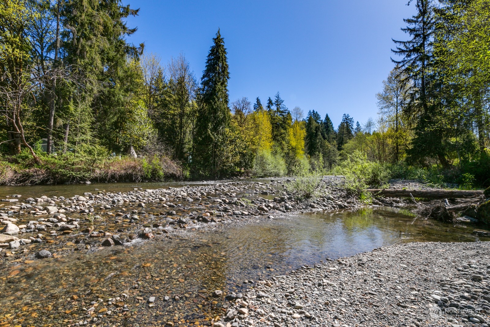 6232 Robe Menzel Road