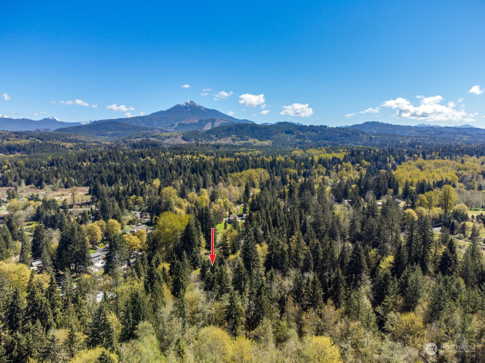 6232 Robe Menzel Road