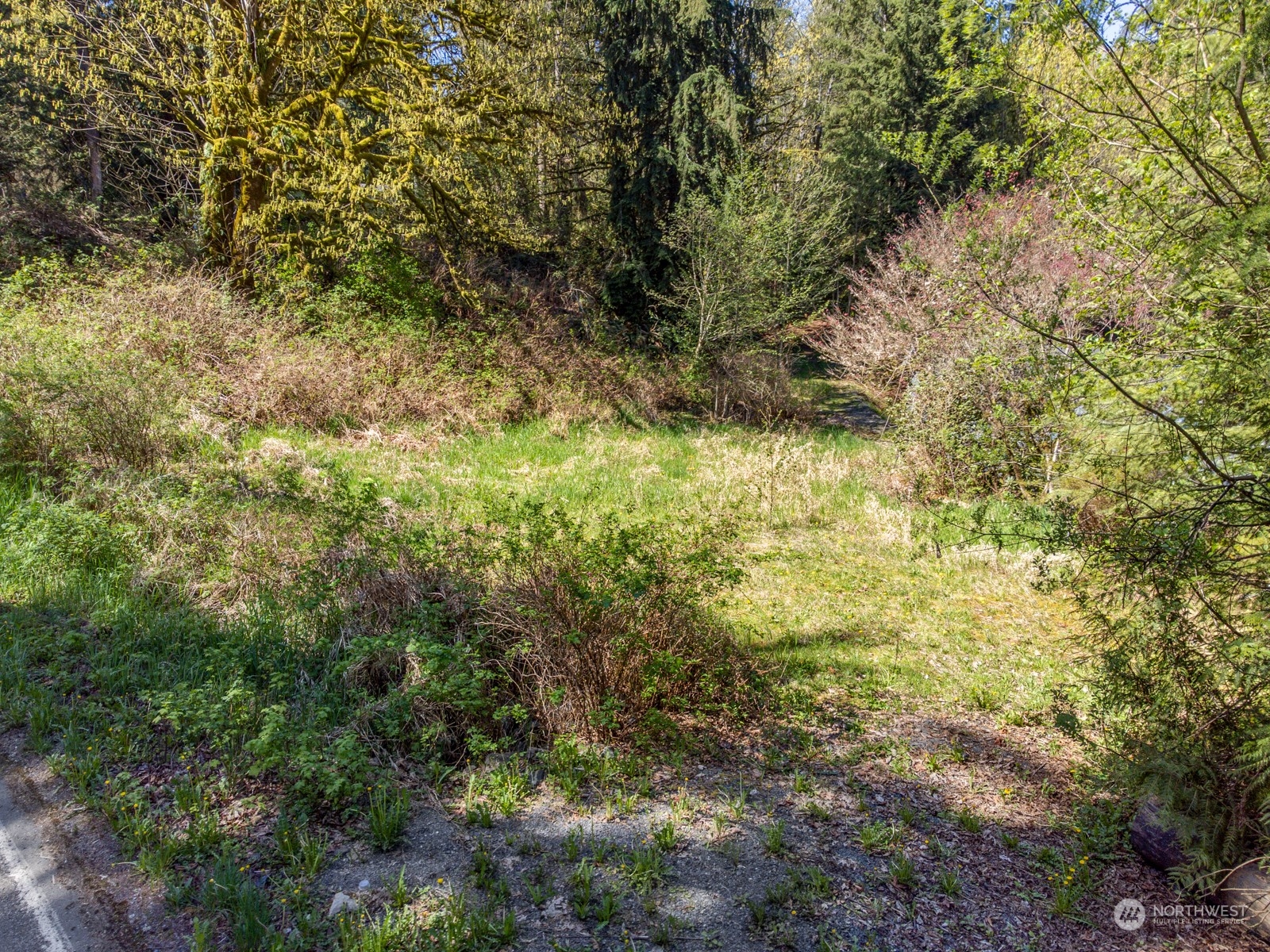 6232 Robe Menzel Road