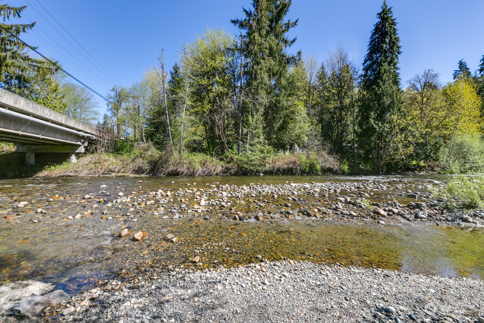 6232 Robe Menzel Road