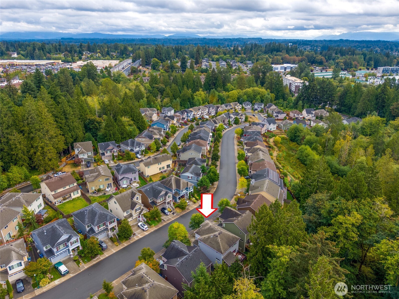 Aerial view of a tree-lined residential neighborhood, with an arrow marking a home beside the street.
