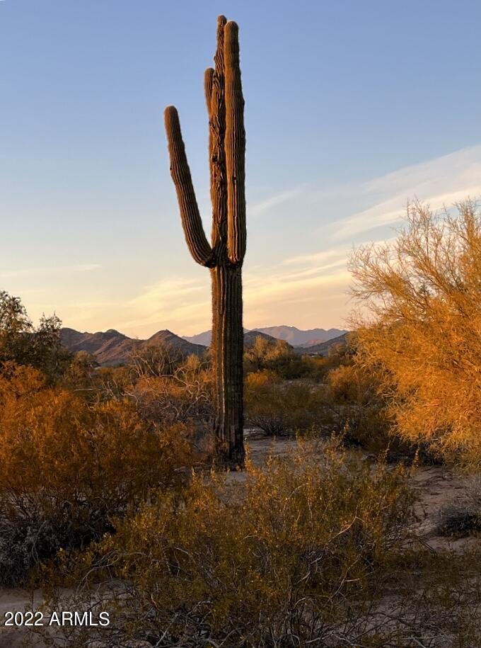 0 S Sage and Barnes Parcel E Road Unit: -