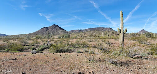 0 S 481st Avenue # 60