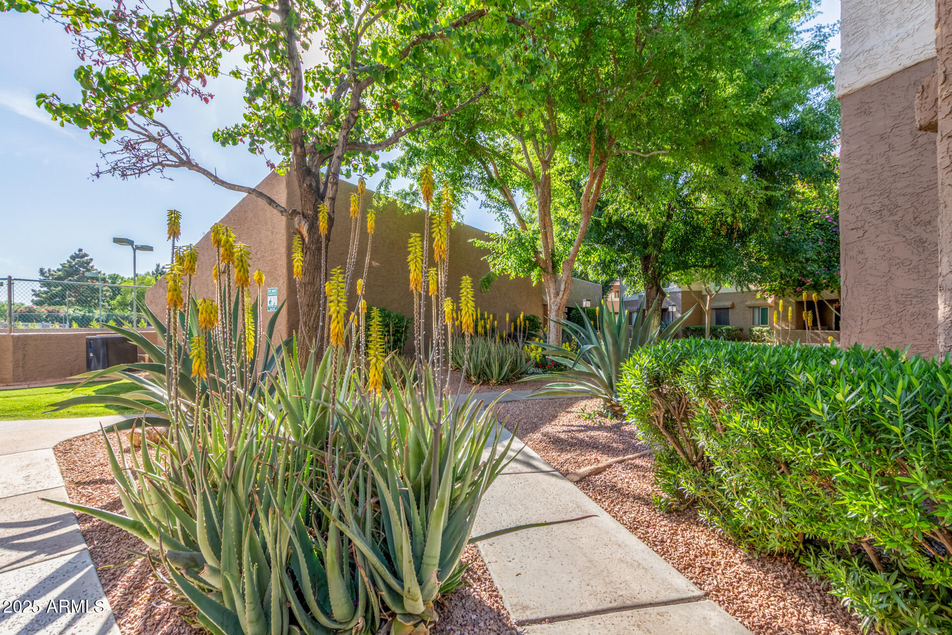 4554 E PARADISE VILLAGE Parkway N, 115