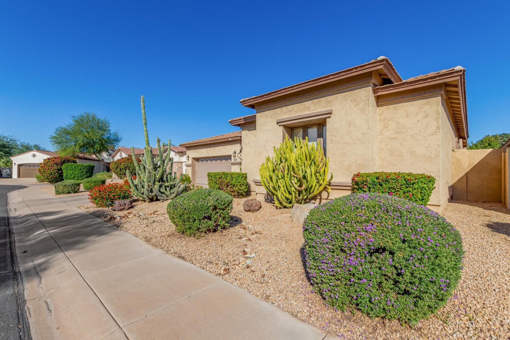 3084 E Capricorn Way