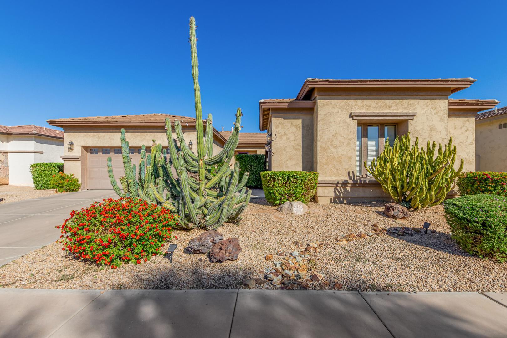 3084 E Capricorn Way