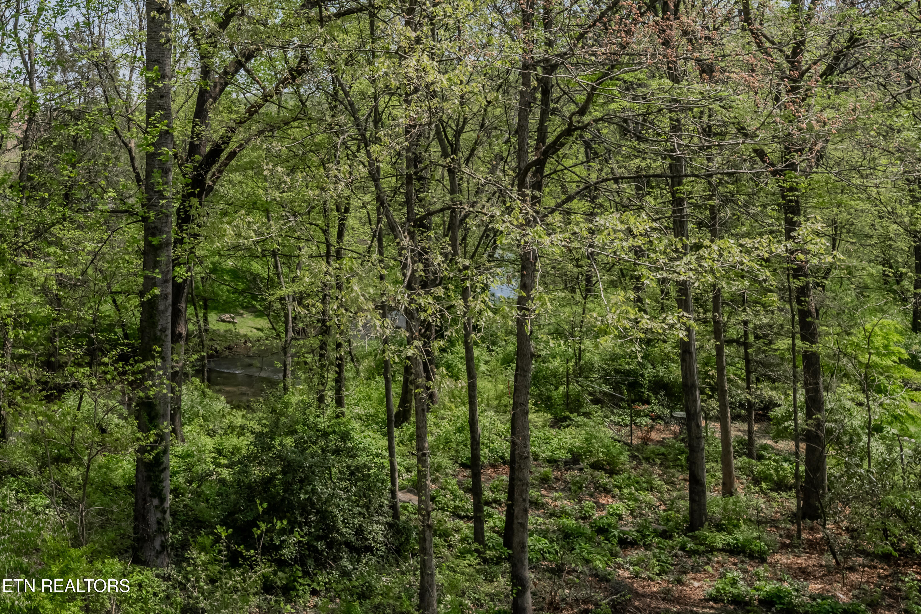 1052 Craigland Court