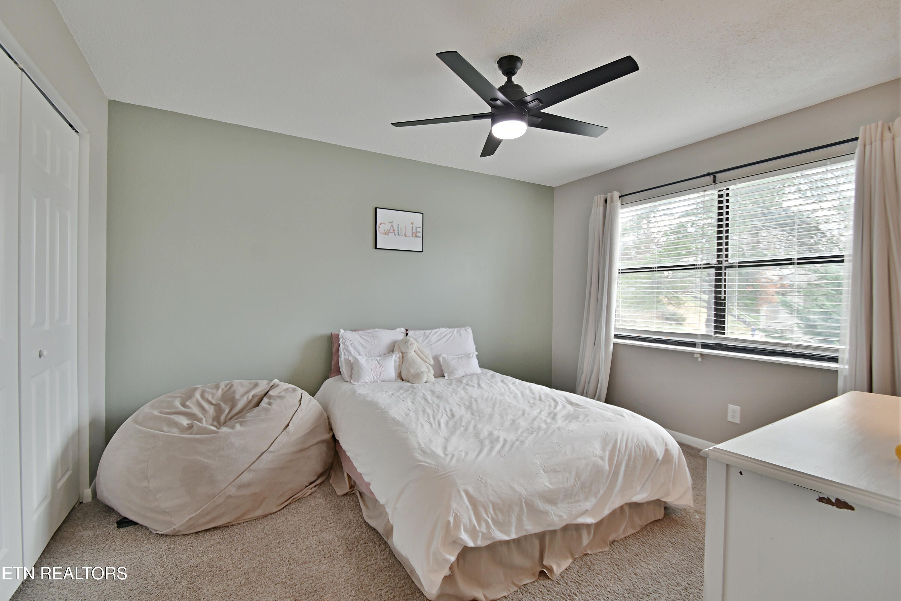 8701 Olde Colony Apt 62