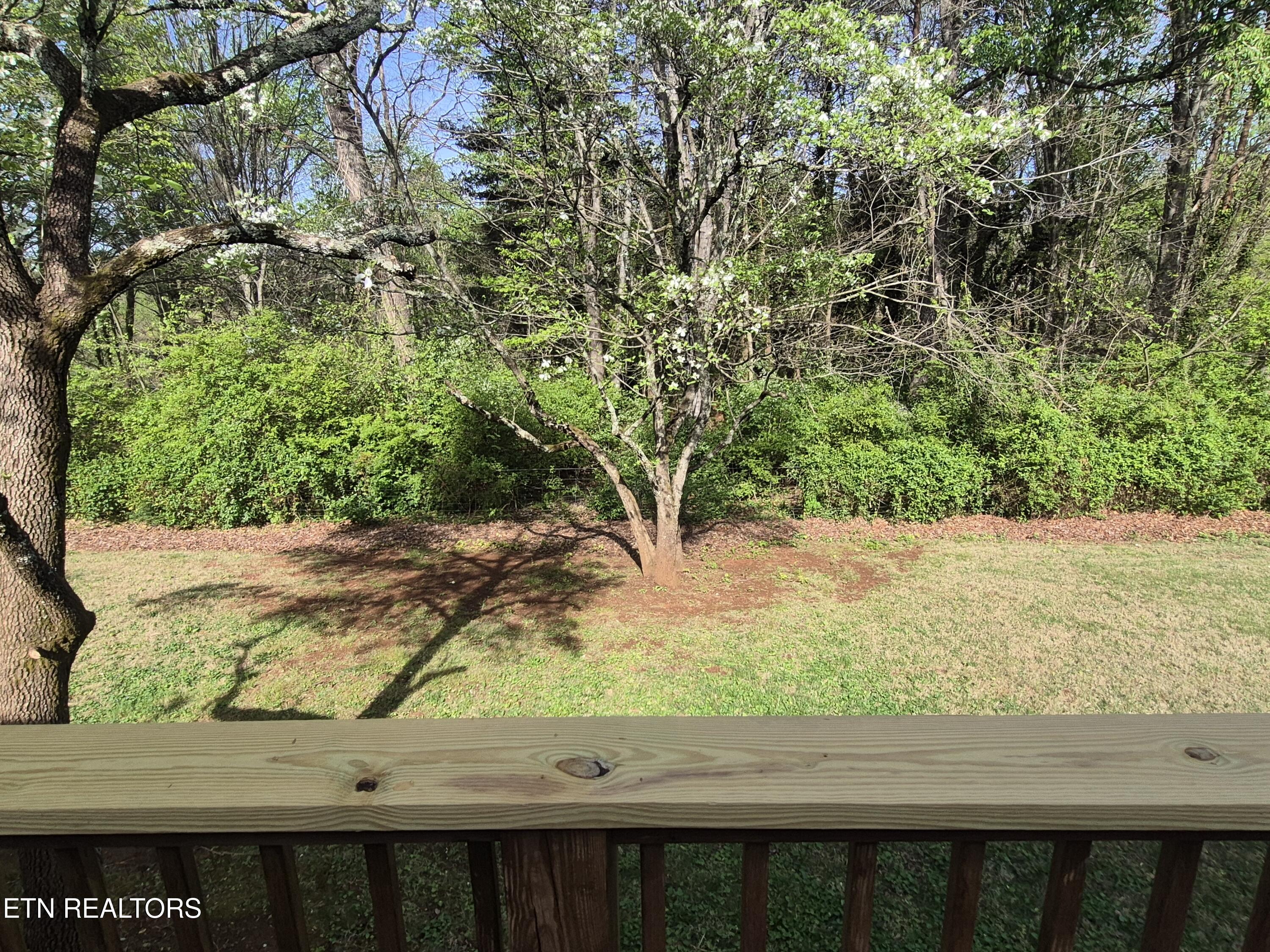 7017 Lake Bluff Court