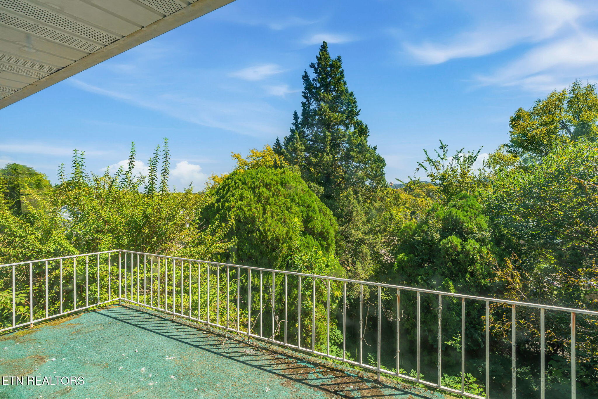 Outdoor deck with white railing overlooking dense trees and greenery.